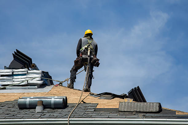 Professional Roof Replacement technician working in Mapleton, IL